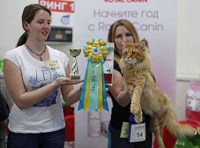 �������� ����� 11-12 ������ 2015 WCF-����� 2-14-169A4322 copy.jpg